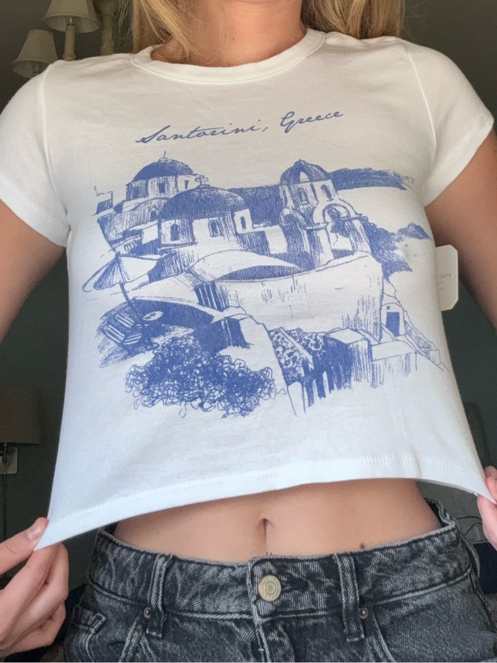 NWT Altar’d State Santorini Graphic Crop Tee